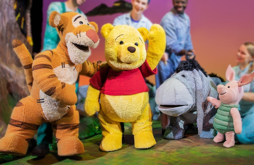 Disney's Winnie the Pooh - CANCELED